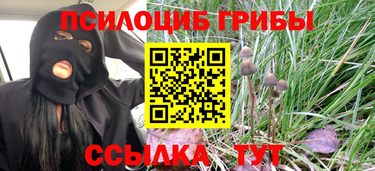 Псилоцибиновые грибы Psilocybe  Псилоцибиновые грибы Psilocybine cubensis  Вход с VPN  Муром 