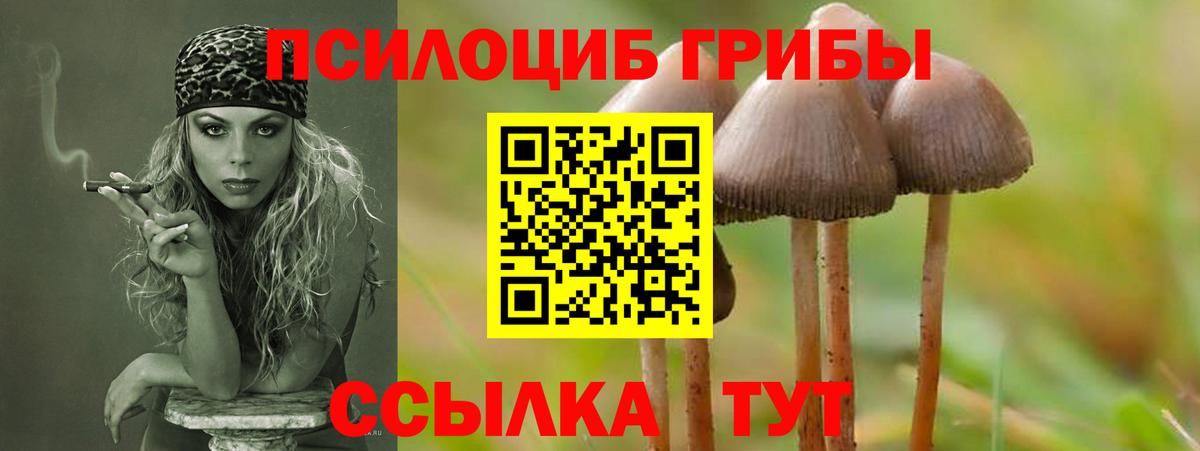 Муром  Вход с VPN  МАРИХУАНА  Мефедрон кристаллы  ГАШ  A PVP СОЛЬ кристаллы 